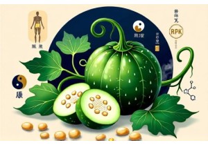 Natural Appetite Suppressants TCM Including Bitter Melon Extract