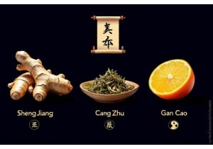 TCM Herbal Formulas for Weight Loss With Ginger and Citrus Peel