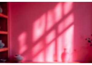 Ask TCM Expert Why Do Some People Gain Weight After Herbal Therapy