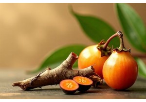 Natural Appetite Suppressants TCM Supporting Hormonal Balance in Women