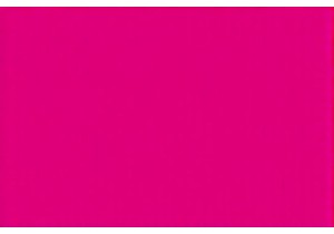 Traditional Chinese Diet Tips for Winter Kidney Nourishment