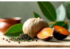 Chinese Herbs for Weight Loss Supporting Gut Microbiome Health