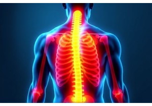 Cupping Therapy Weight Loss Activates Brown Adipose Tissue