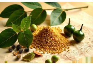 TCM Herbal Formulas Designed to Improve Qi Flow and Support Weight Loss Goals