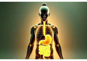 TCM Weight Loss Q&A Can Qi Deficiency Cause Stubborn Weight Gain