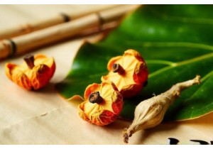 Natural Appetite Suppressants in TCM Used for Sustainable Weight Management