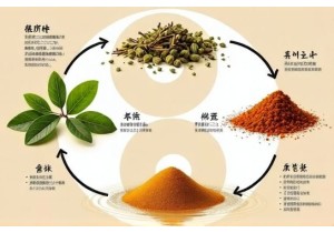 TCM Herbal Formulas That Strengthen Spleen Qi to Prevent Fluid Retention and Weight Gain