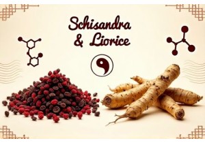 Natural Appetite Suppressants TCM Herbs Like Schisandra and Licorice