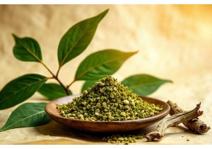 Gymnema Sylvestre in TCM Herbal Formulas for Sugar Craving Control