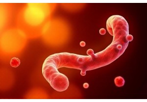 How Evidence Based TCM Addresses Inflammation in Obesity Related Comorbidities