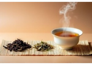 Natural Appetite Suppressants TCM Herbs That Reduce Cravings Safely