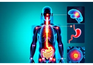 How Acupuncture for Weight Loss Regulates Leptin and Ghrelin