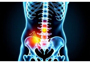 TCM Weight Loss Q&A Are There Evidence Based TCM Protocols for Visceral Fat Reduction