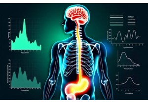 Acupuncture Weight Loss Studies Support Neuroendocrine Adaptation in Energy Homeostasis