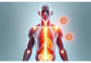 TCM Acupressure Points for Spleen Qi Deficiency and Fluid Retention