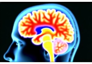 Acupuncture Weight Loss Studies Examine Neural Activation Patterns Using fMRI Techniques