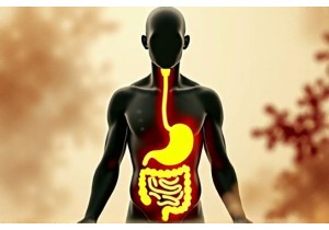 Role of Spleen and Stomach Regulation in Chinese Medicine Obesity Research