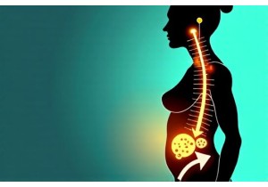 Acupuncture Weight Loss Studies Report Reduced Cravings and Improved Satiety