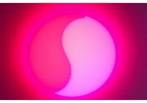 TCM Practitioner Advice on Balancing Yin Yang to Prevent Weight Regain