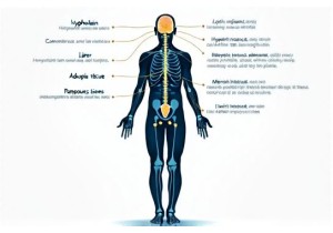 Mechanistic Insights from Recent Acupuncture Weight Loss Studies in Adults