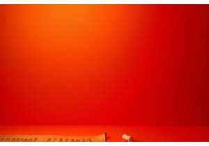 TCM Weight Loss Clinical Trials Validate Customized Formulas