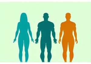 Integrative Obesity Treatment Chinese Medicine Research Meets Western Standards