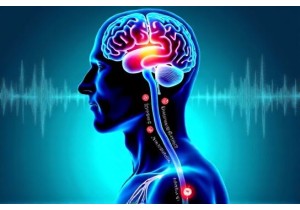 Acupuncture Weight Loss Studies Explore Neuroendocrine Pathways in Appetite Control