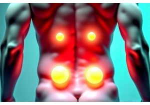 Cupping Therapy Weight Loss Enhances Circulation for Better Fat Metabolism