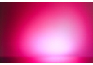 TCM Practitioner Advice on Reducing Phlegm Damp with Daily Lifestyle Habits