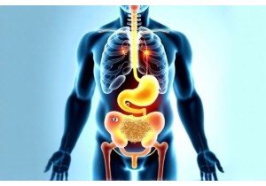 Evidence Based TCM Interventions Normalize HPA Axis Dysfunction in Obese Subjects
