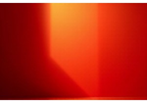 How Evidence Based TCM Supports Sustainable Weight Loss in Clinical Practice