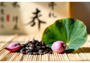 TCM Herbal Formulas for Weight Loss