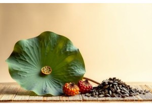 Natural Appetite Suppressants TCM Supporting Stomach Qi