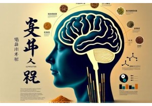 Chinese Medicine Obesity Research Explores Neuroendocrine...