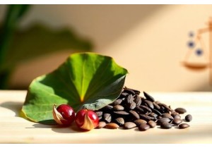 Chinese Herbs for Weight Loss Lotus Leaf Clinical Trials