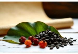 Chinese Herbs for Weight Loss: Real TCM Results