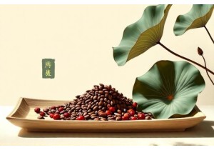 TCM Herbal Formulas for Weight Loss Balancing Spleen and ...